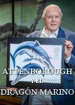 Attenborough y el Dragon Marino