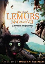 Isla de los Lemures Madagascar