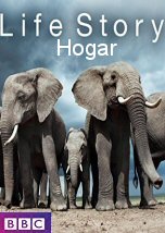 Life Story: El Hogar