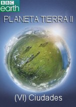 Planeta Tierra II Ciudades