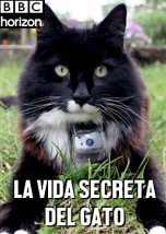 La Vida Secreta del Gato