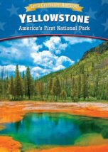 Yellowstone el Primer Parque Nacional Norteamericano