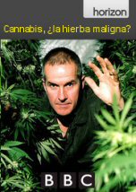 Cannabis: La Hierba Maligna