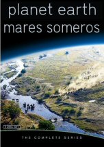 Mares Someros