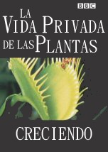 La Vida Privada de las Plantas: Creciendo