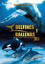 Delfines y Ballenas 3D