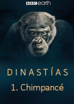 Dinastias: Chimpance