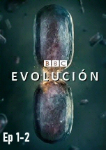 Evolucion Ep 1-2