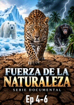 Fuerza de la Naturaleza Ep 4-6