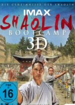 Campamento Shaolin