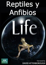 Life: Reptiles y Anfibios